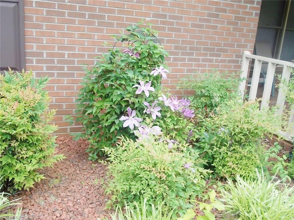 3505 Baltimore Road East Bend, NC 27018 - Photo 11 of 29 Gallery Image 11