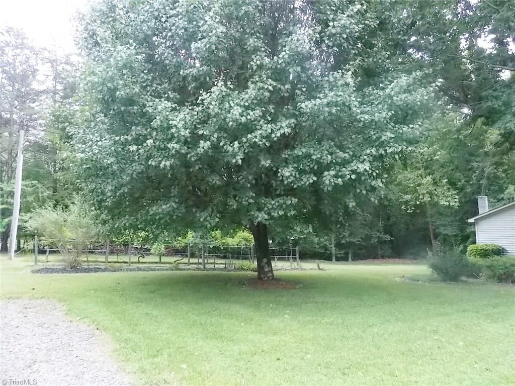 3505 Baltimore Road East Bend, NC 27018 - Photo 5 of 29 Gallery Image 5