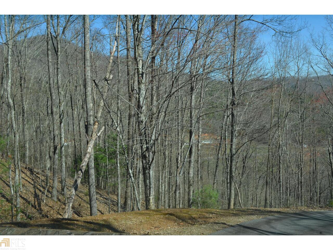 0 Autumn Ridge Hiawassee, GA 30546 - Photo 1 of 1 Gallery Image 1