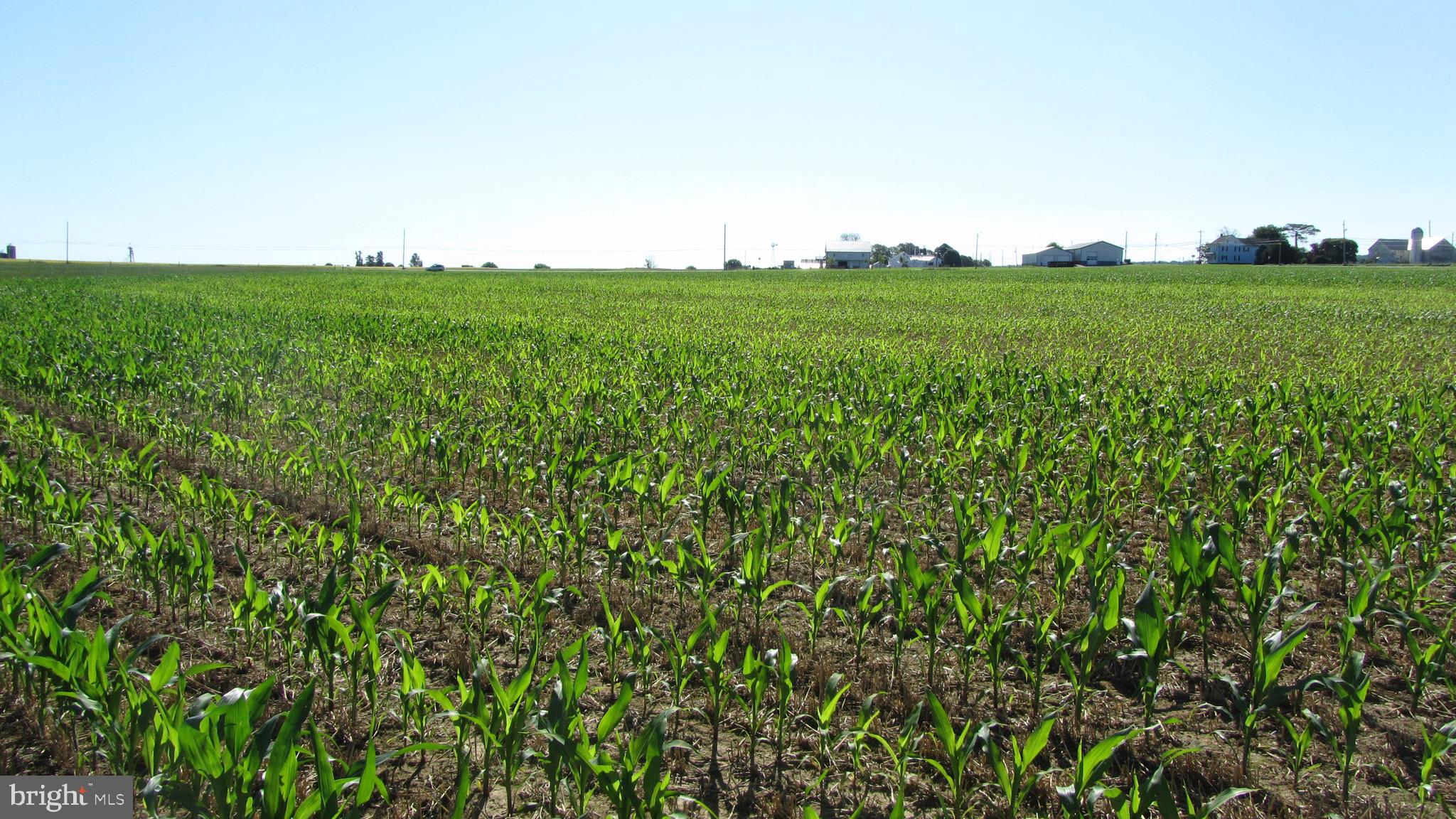 Lot #2 Strasburg Road Paradise, PA 17562 - Photo 4 of 18 Amazing sky meets land