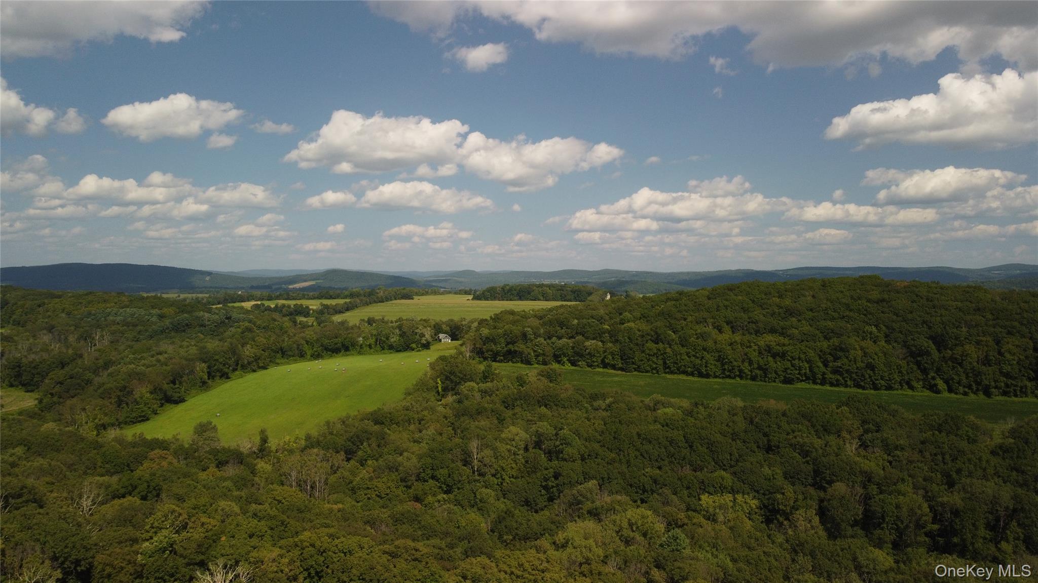 Perrys Corners Road Amenia, NY 12501 - Photo 14 of 14 Mountain view featuring a forest