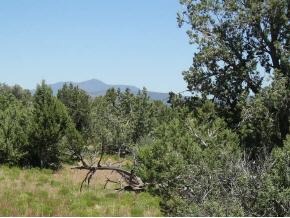 7 South Raney Road Ash Fork, AZ 86320 - Photo 3 of 3 Additional Photo