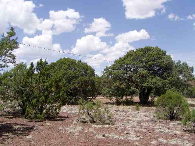 23 North Mountain Pine Road Show Low, AZ 85901 - Photo 2 of 5