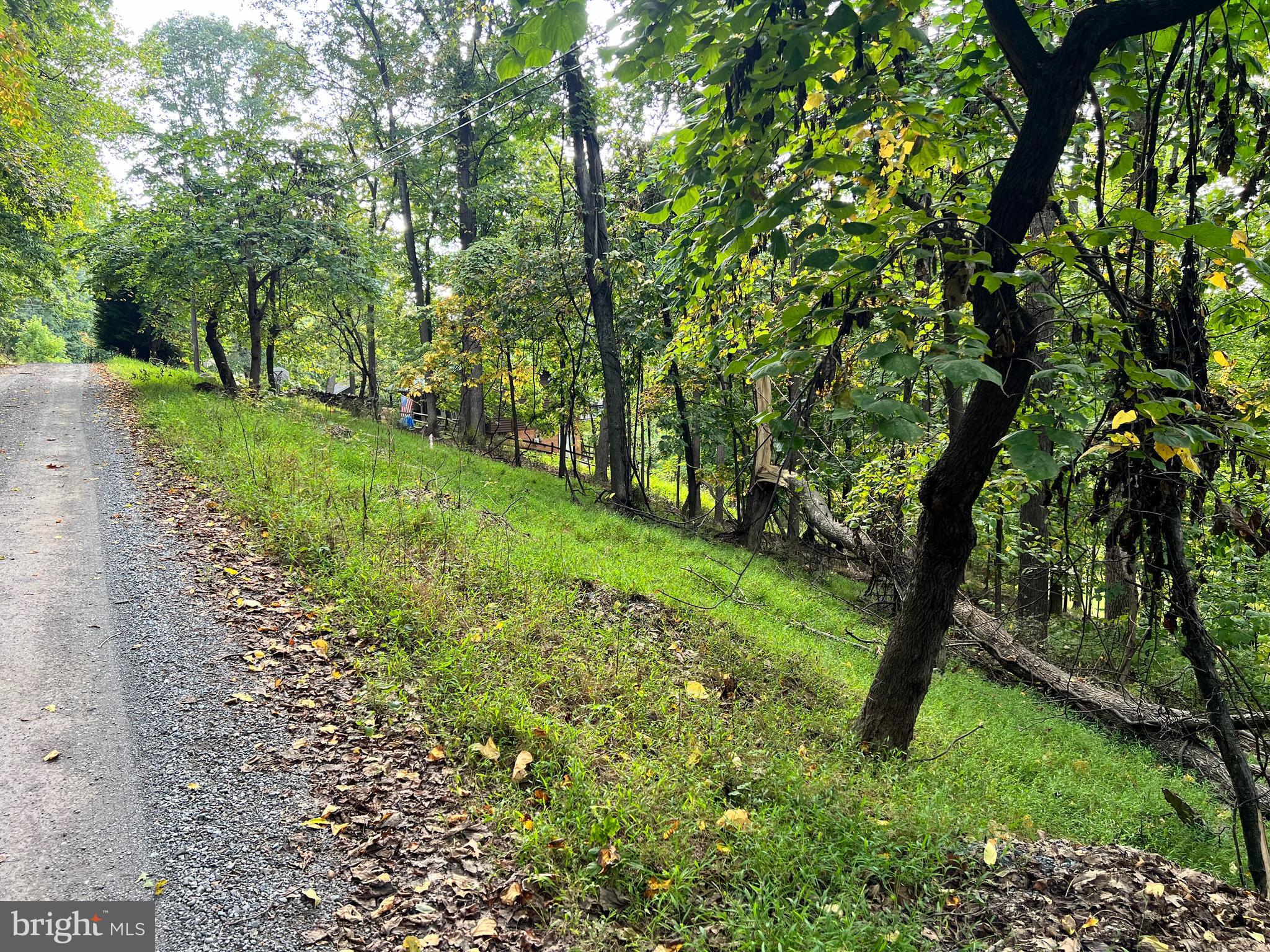 Lot #3 Bridle Path Road Front Royal, VA 22630 - Photo 1 of 5