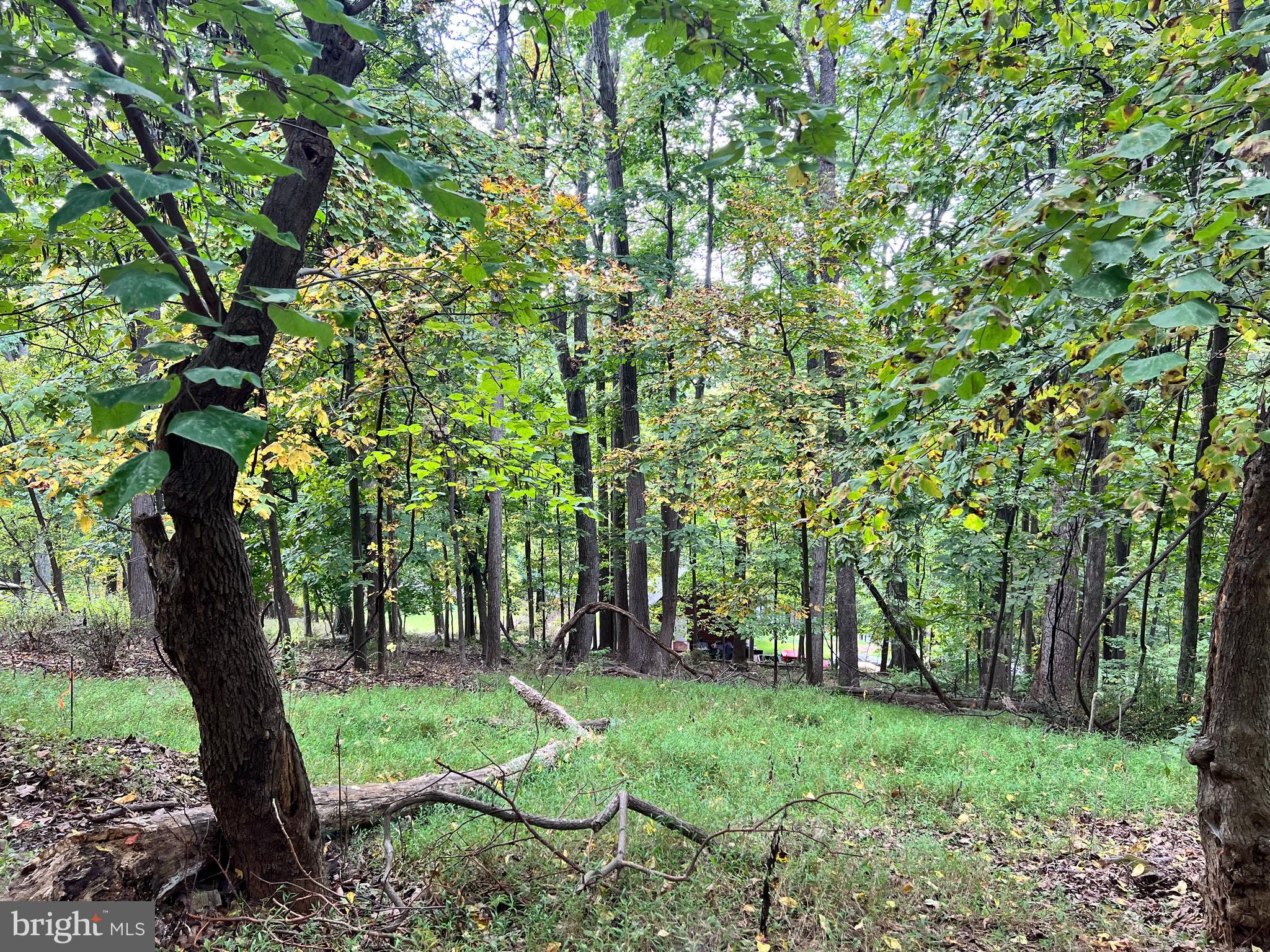 Lot #3 Bridle Path Road Front Royal, VA 22630 - Photo 2 of 5