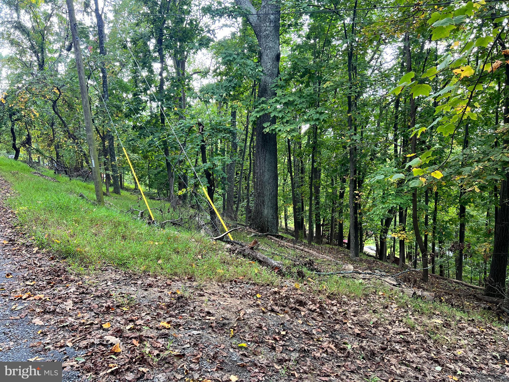 Lot #3 Bridle Path Road Front Royal, VA 22630 - Photo 4 of 5