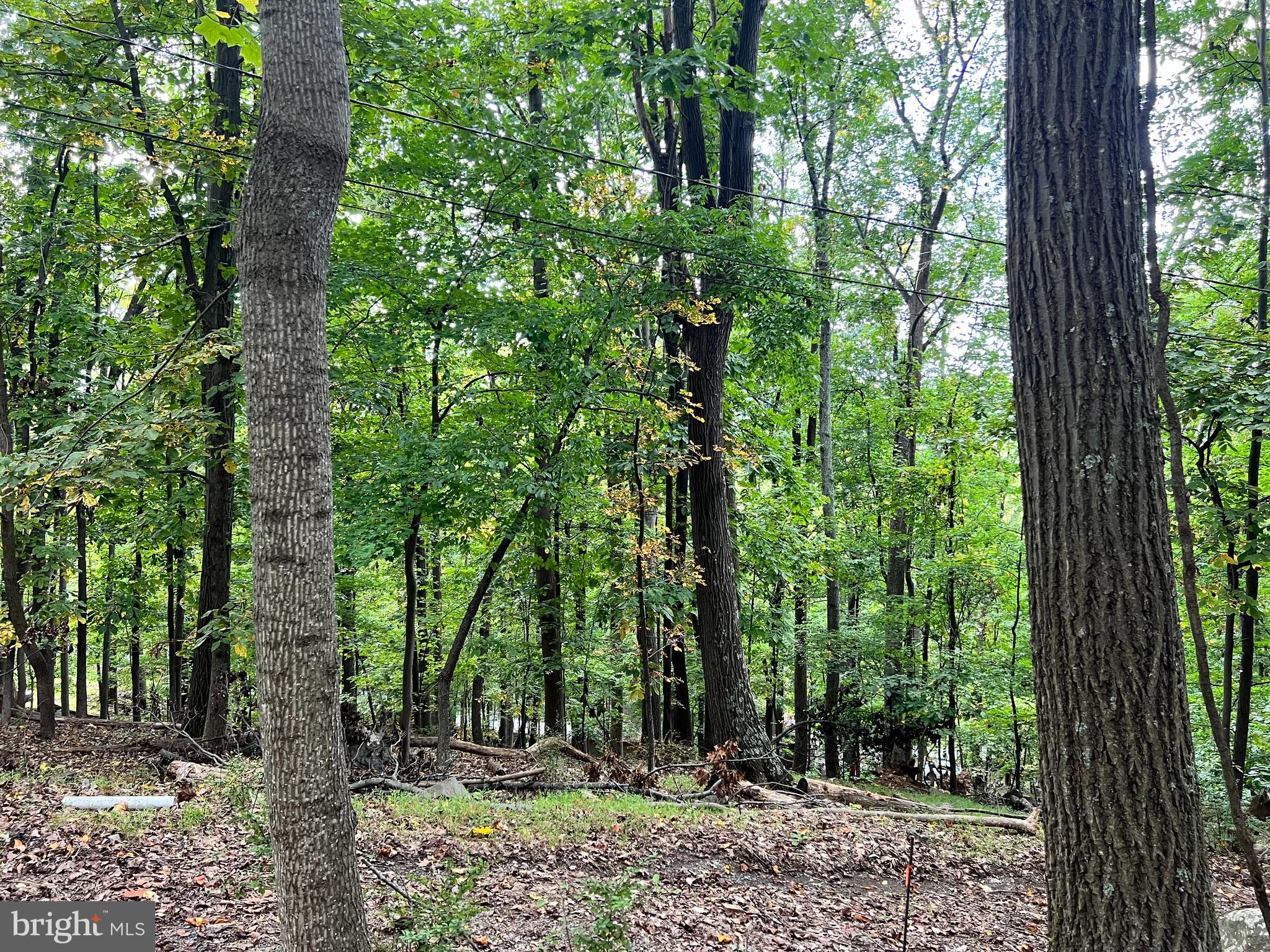Lot #3 Bridle Path Road Front Royal, VA 22630 - Photo 5 of 5