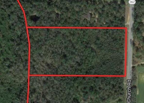 10-acres Antioch Church Road Climax, GA 39834 - Photo 1 of 1 Main View