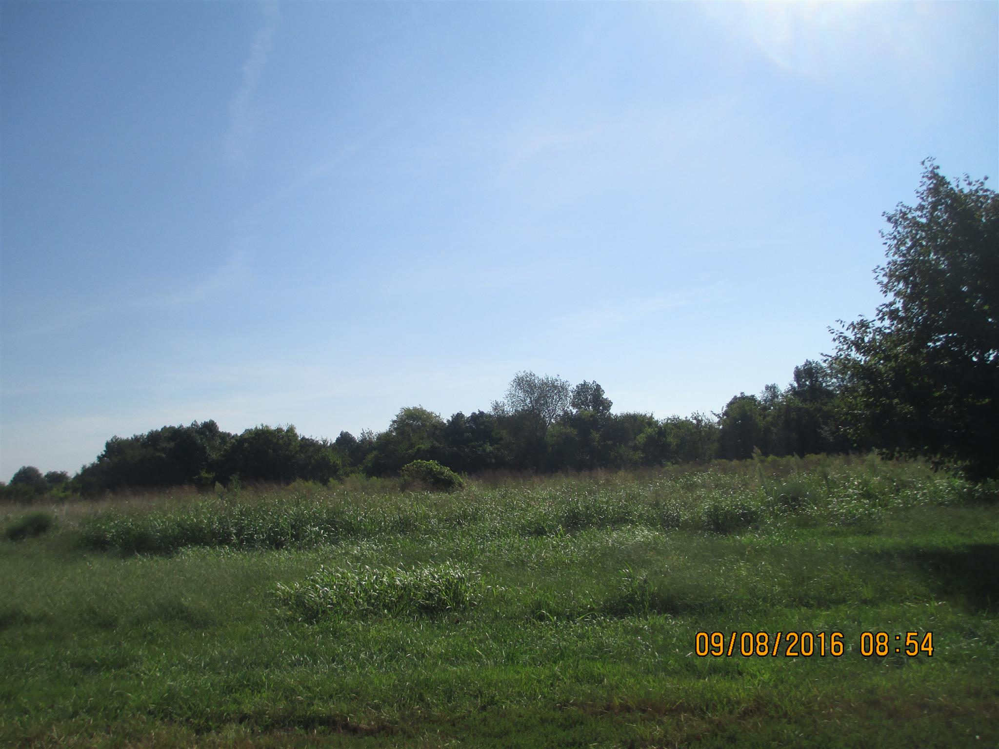6009 Woodruff Tolleson Road Adams, TN 37010 - Photo 6 of 6 Gallery Image 6