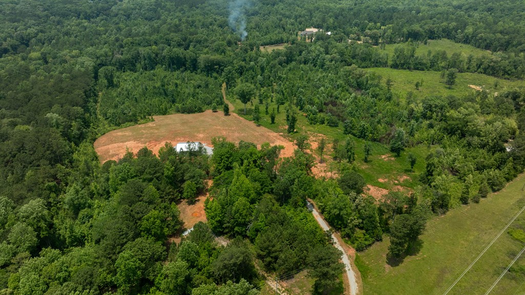 0 Macedonia Church Road Hamilton, GA 31811 - Photo 31 of 44 Gallery Image 31