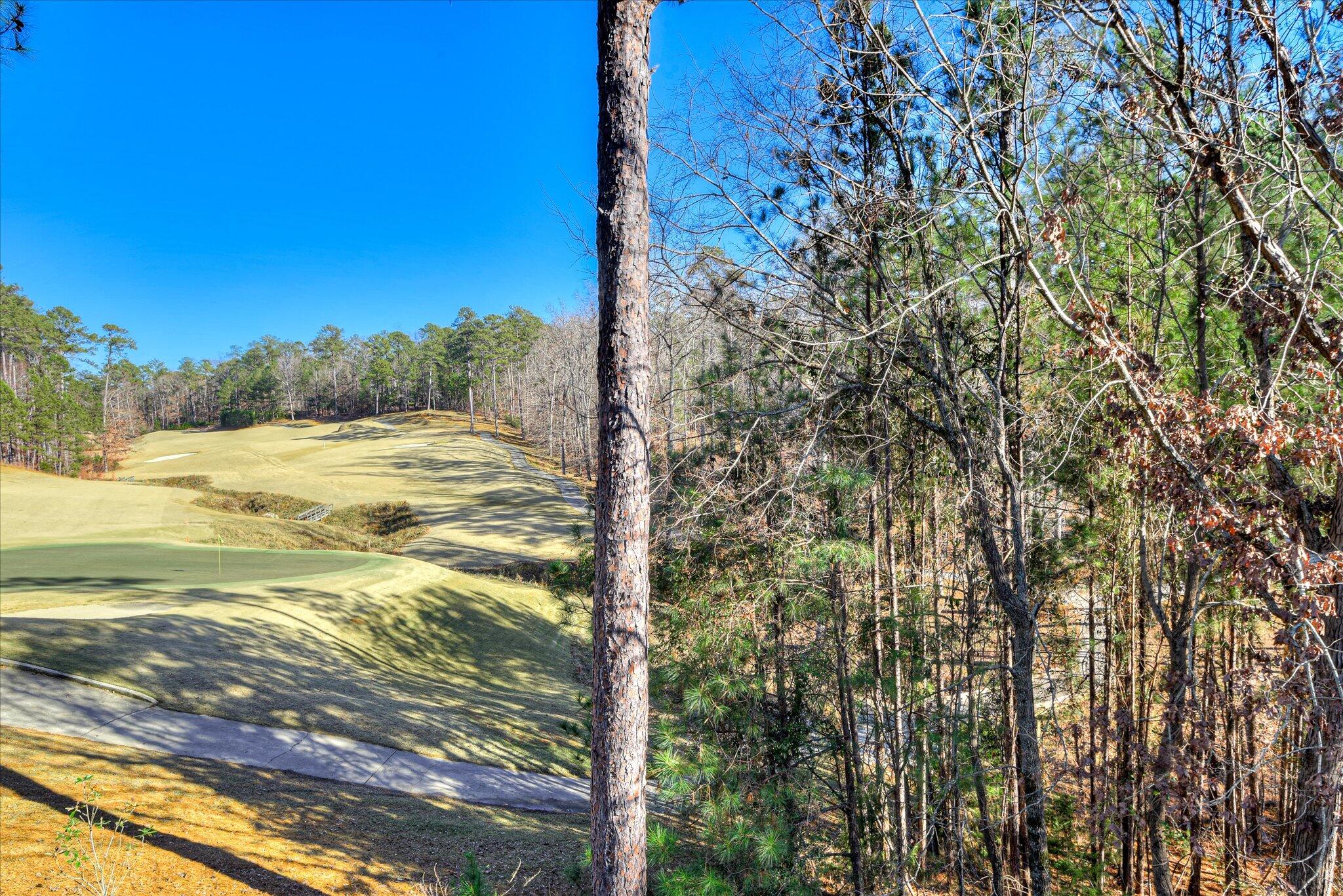 224 Amelia Drive McCormick, SC 29835 - Photo 57 of 76 64-164