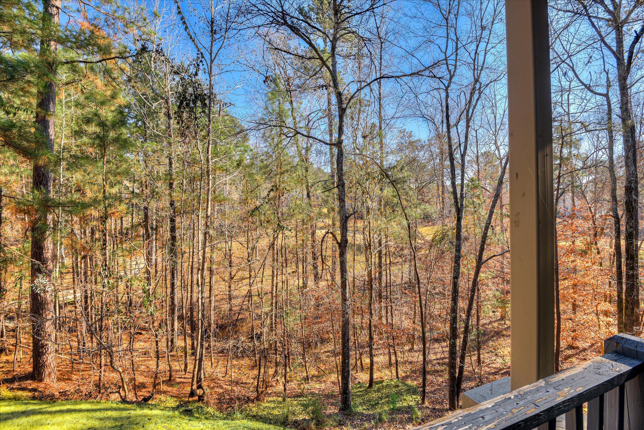 224 Amelia Drive McCormick, SC 29835 - Photo 66 of 76 73-173