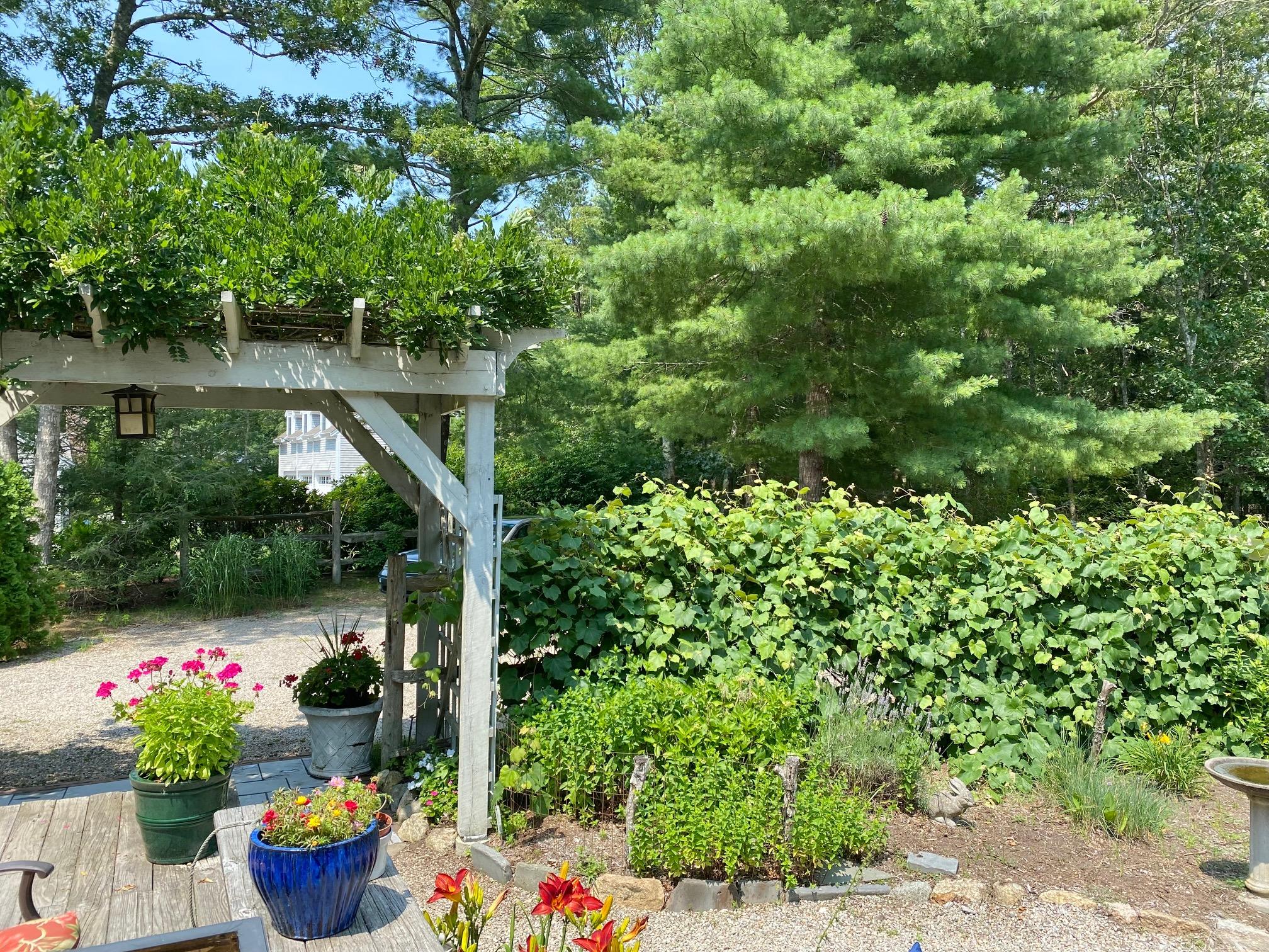 190 Little River Road Cotuit, MA 02635 - Photo 19 of 23 a view of a wooden bridge
