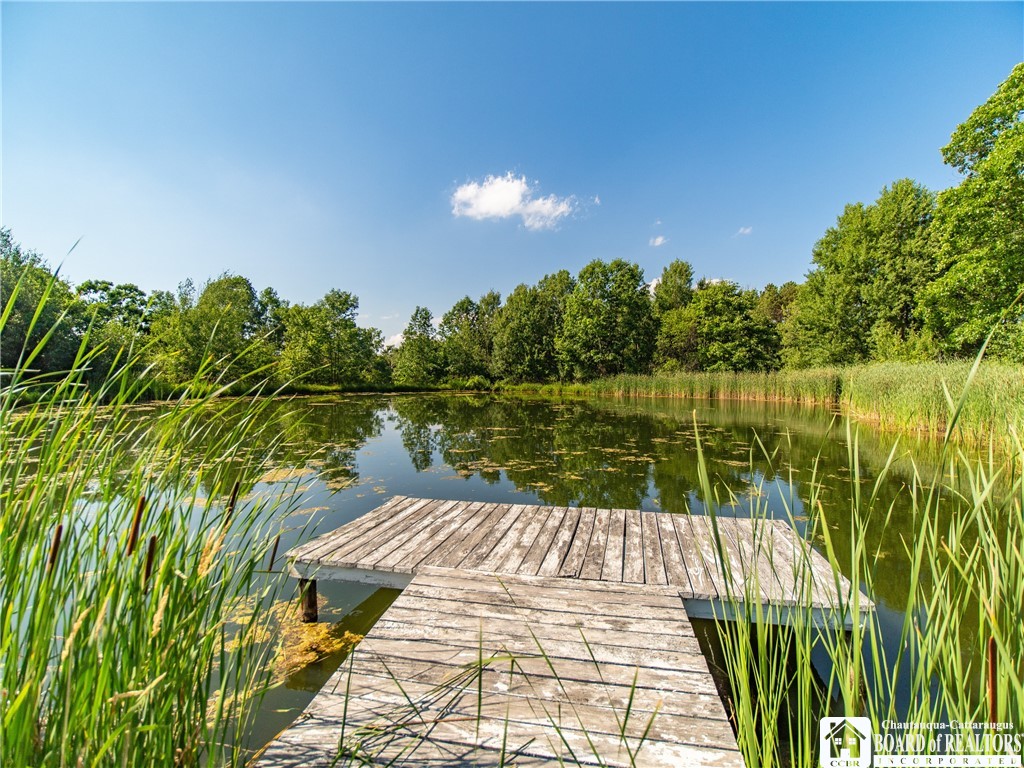 179 Robbin Hill Road Carroll, NY 14738 - Photo 9 of 50