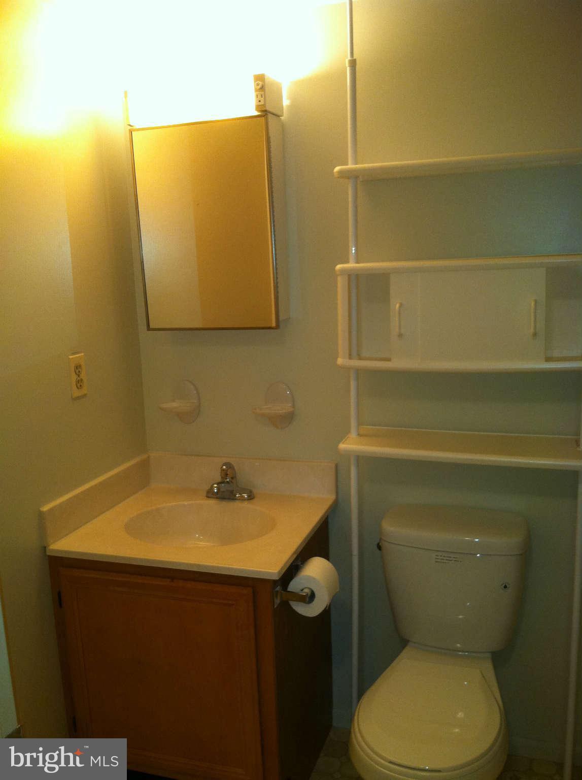 1001 Spring Gate Road, Unit 2C Baltimore, MD 21228 - Photo 10 of 13 Bath (Master)