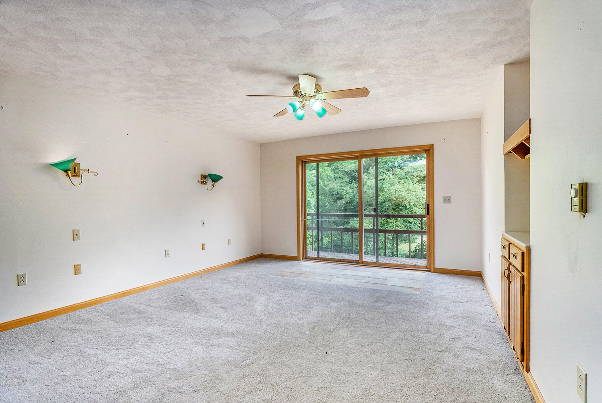 11667 Curtis Road Bellevue, MI 49021 - Photo 10 of 28 008_a7s06936