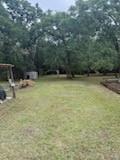 420 Post Oak Road Wills Point, TX 75169 - Photo 17 of 19 a view of a swimming pool with plants