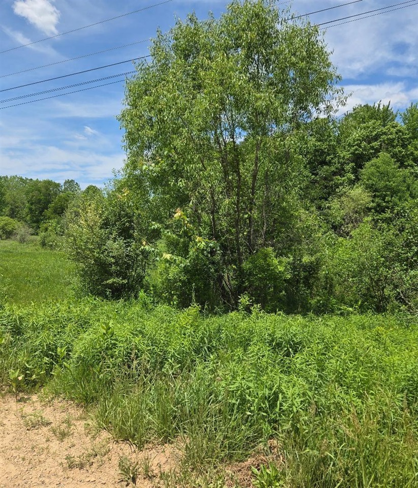 475 Tyler Road Wayland, MI 49348 - Photo 15 of 40