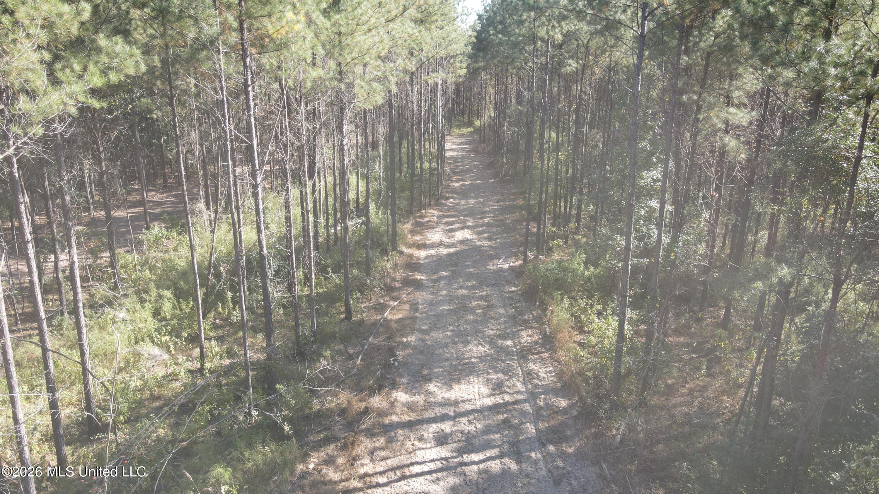 Loyd Irby Road Pelahatchie, MS 39145 - Photo 13 of 30 DJI_0227