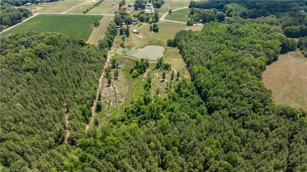 4996 Little Beane Store Road Seagrove, NC 27341 - Photo 44 of 49