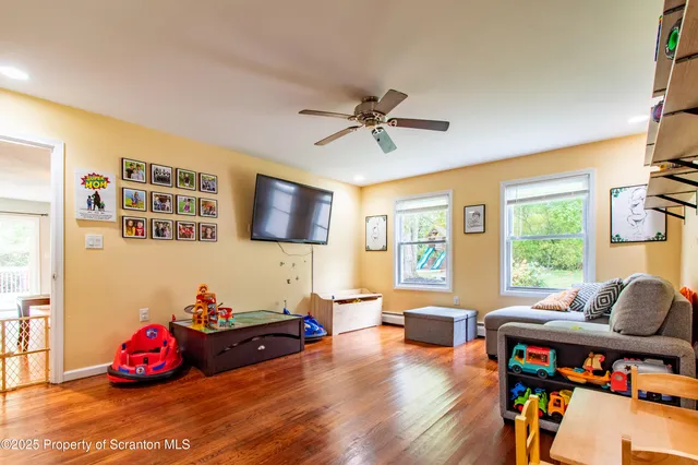 a view of a tree with a plant