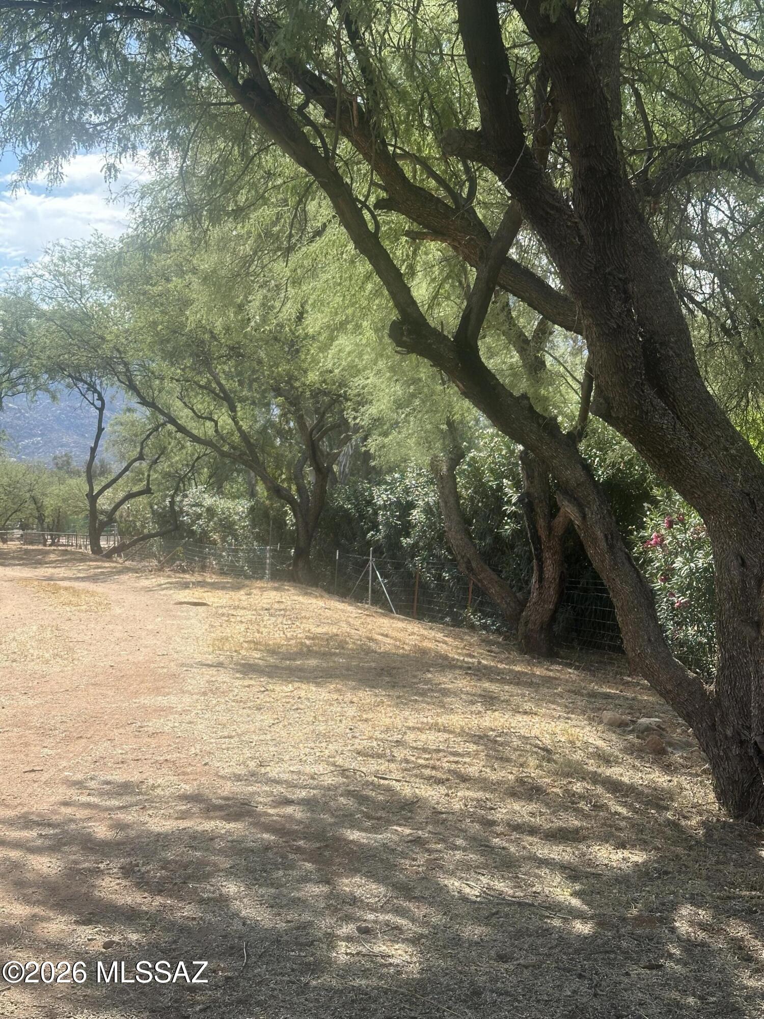 16290 North Chapulin Way Tucson, AZ 85739 - Photo 10 of 16