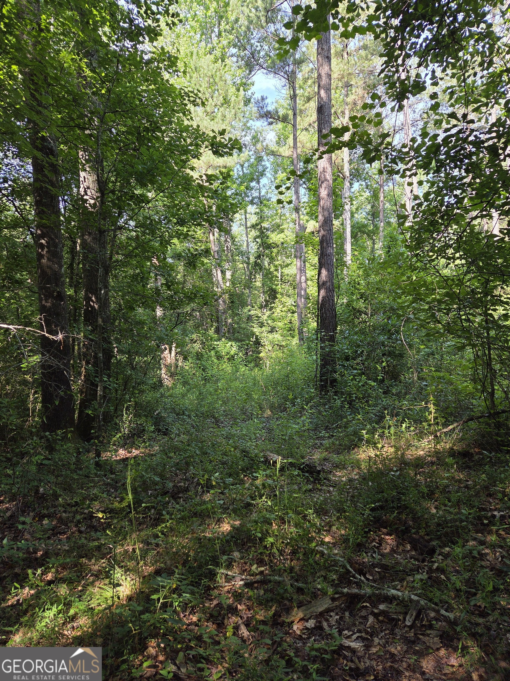 -perkins Road Perkins Road Barnesville, GA 30204 - Photo 6 of 10