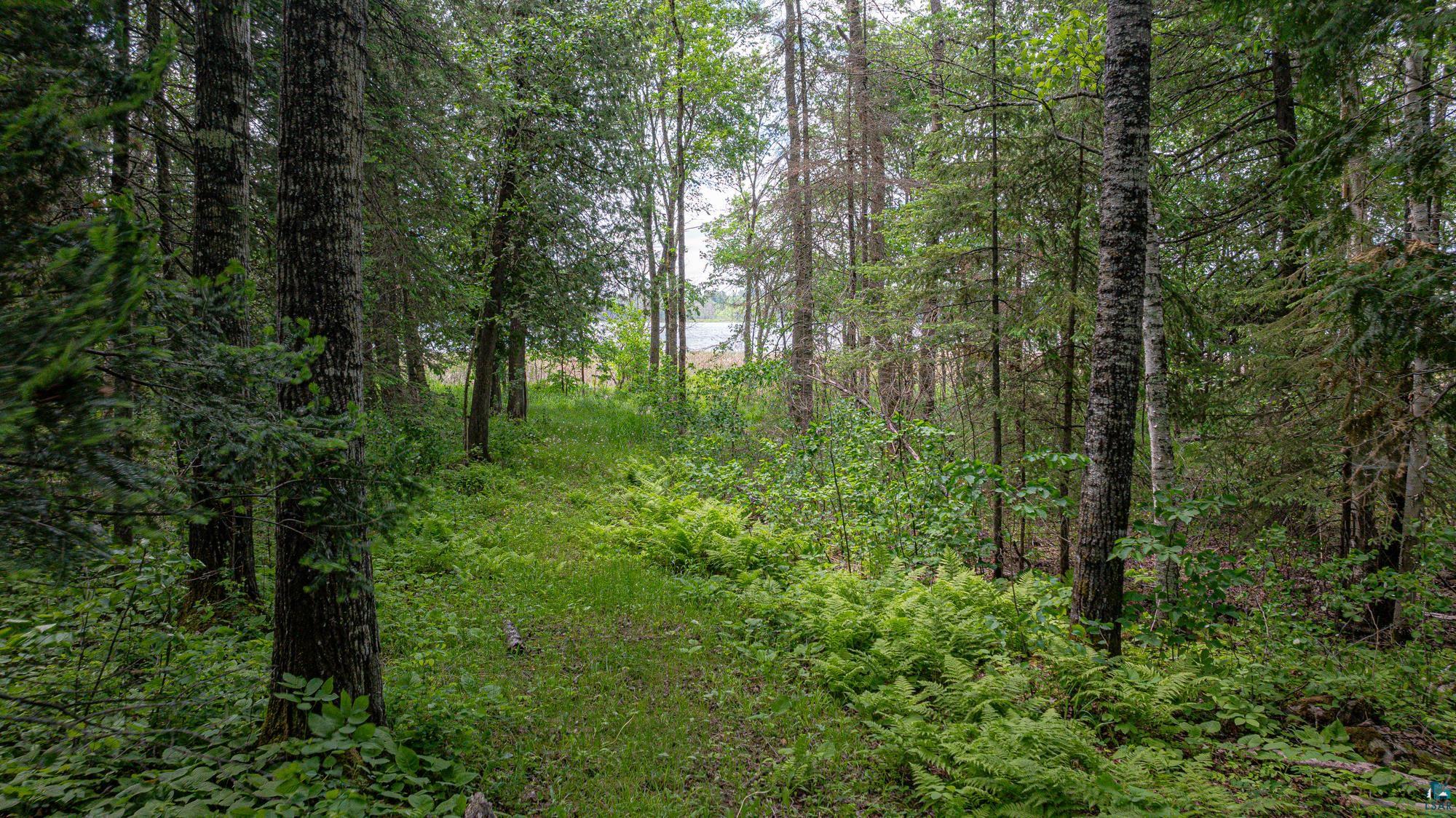 7280 Far North Road Buyck, MN 55771 - Photo 68 of 98