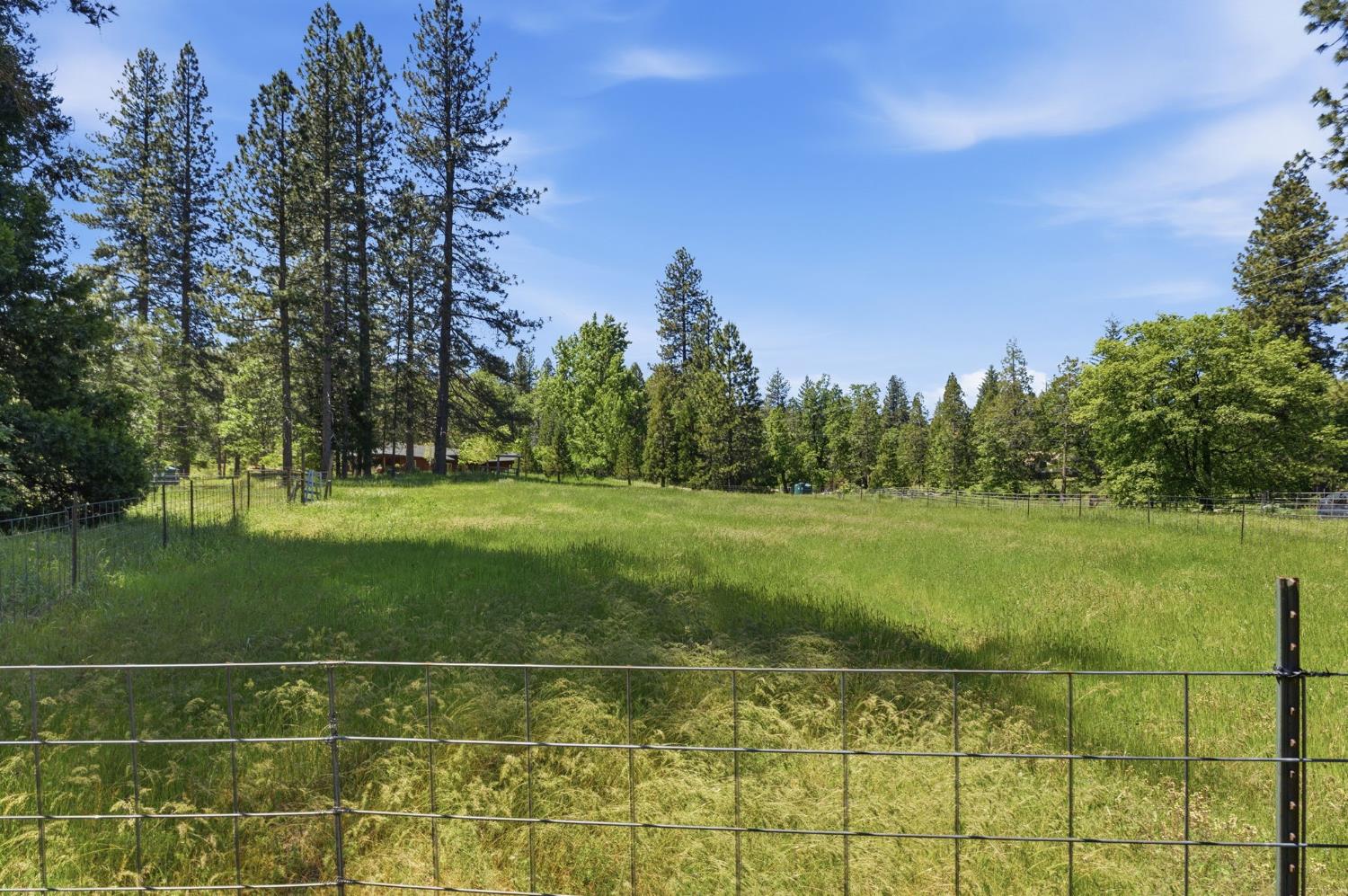 7019 Scott Road Mariposa, CA 95338 - Photo 55 of 77