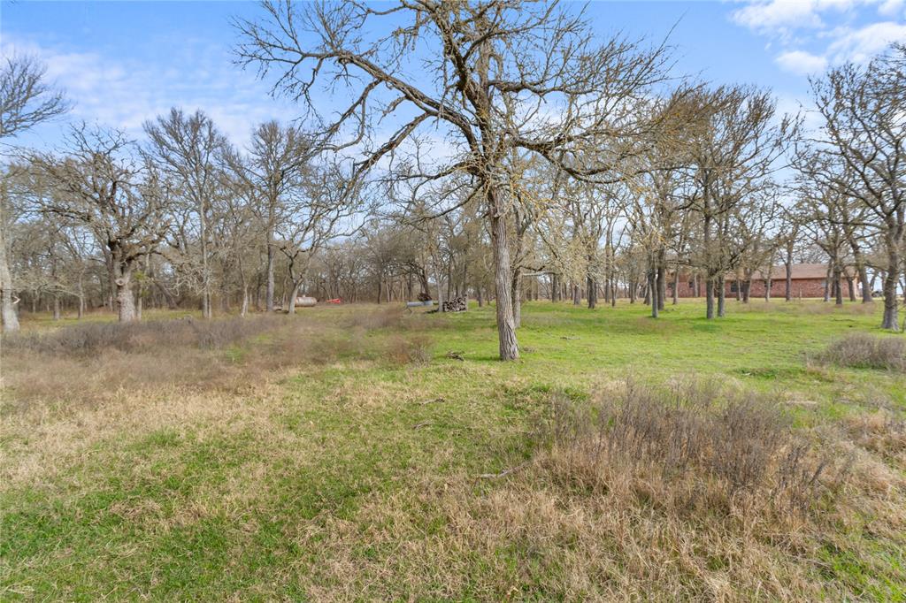1447 Red Gate Road Mart, TX 76664 - Photo 14 of 38 a view of a field with tree s