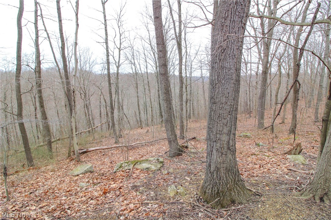 Shay Ridge Road New Matamoras, OH 45767 - Photo 19 of 25 View of nature