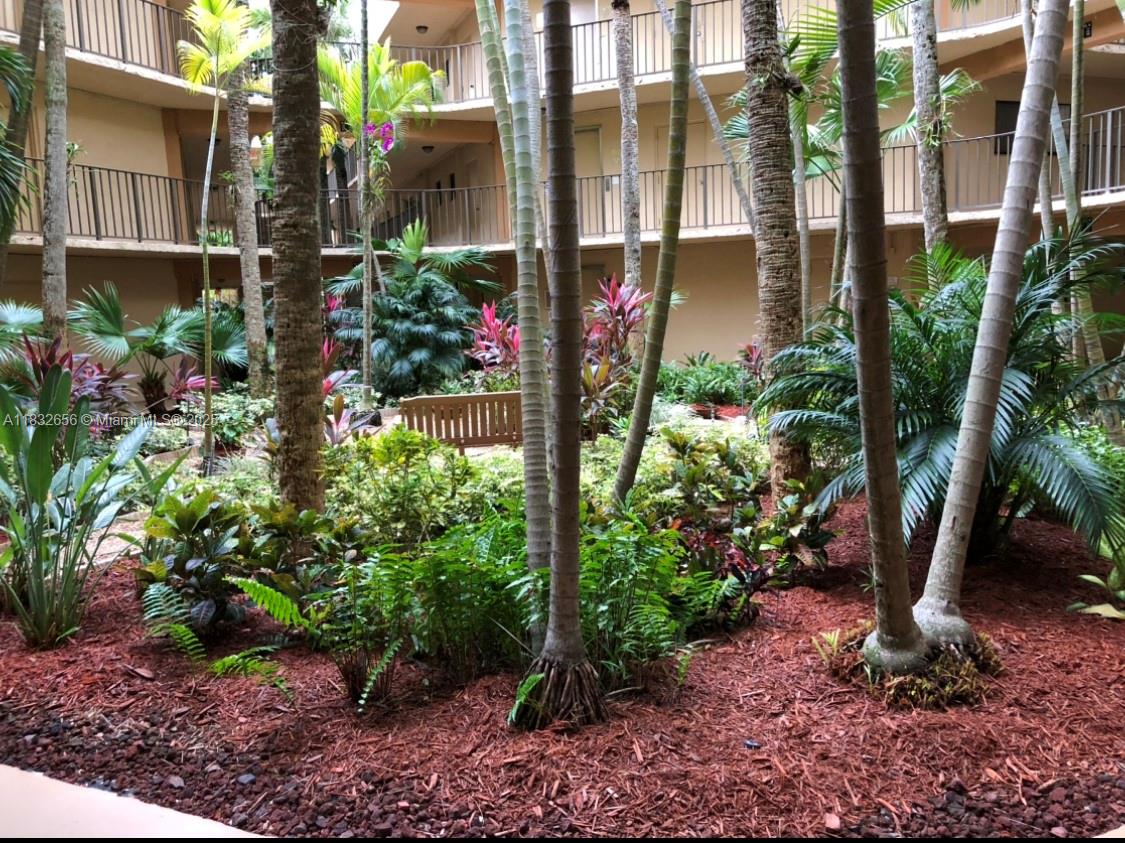 a view of a garden with flowers