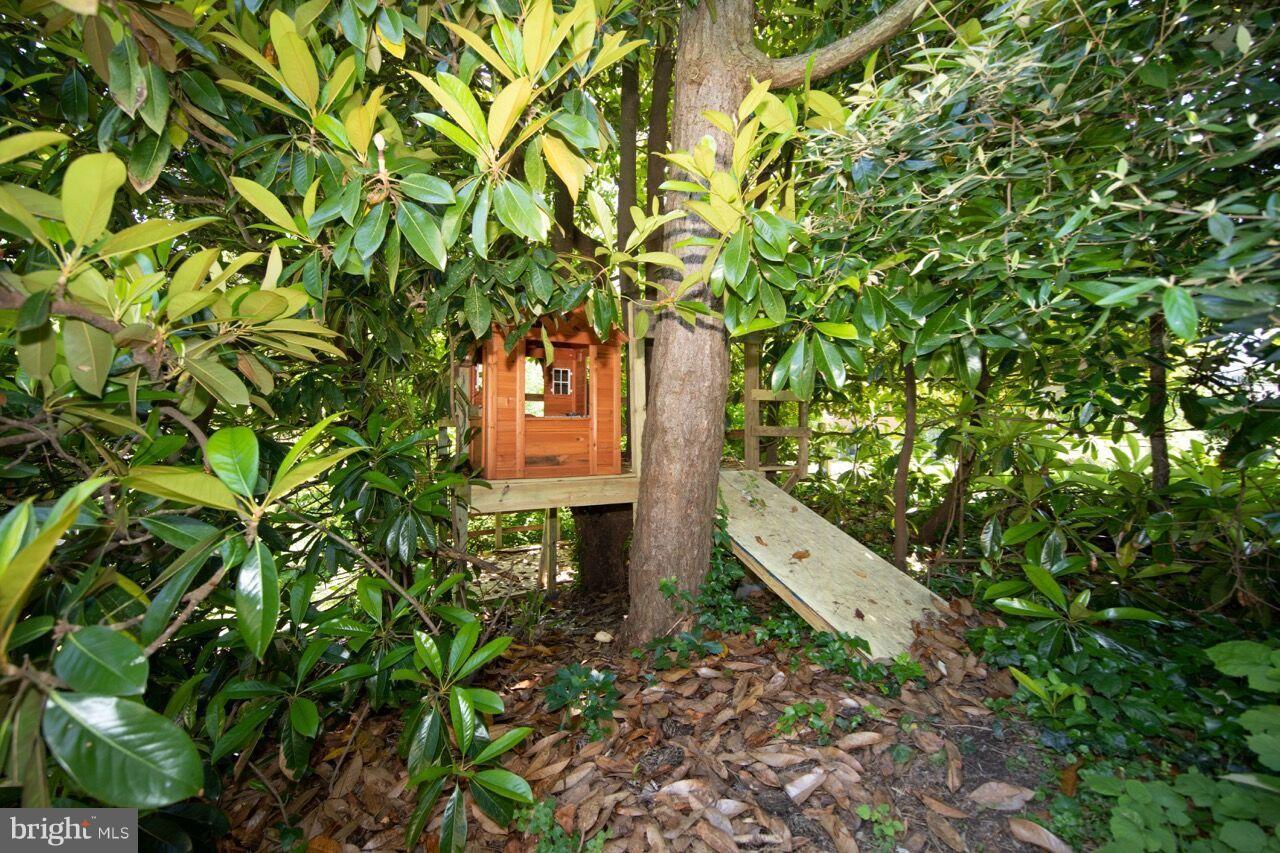 1316 Turret Road Bel Air, MD 21015 - Photo 25 of 27 Tree House
