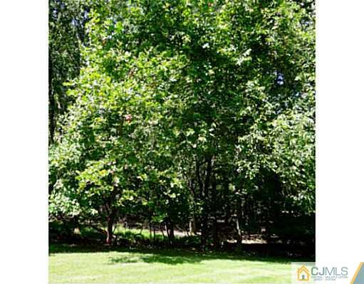 3403 Springbrook Drive Edison, NJ 08820 - Photo 13 of 24 a view of yard with trees