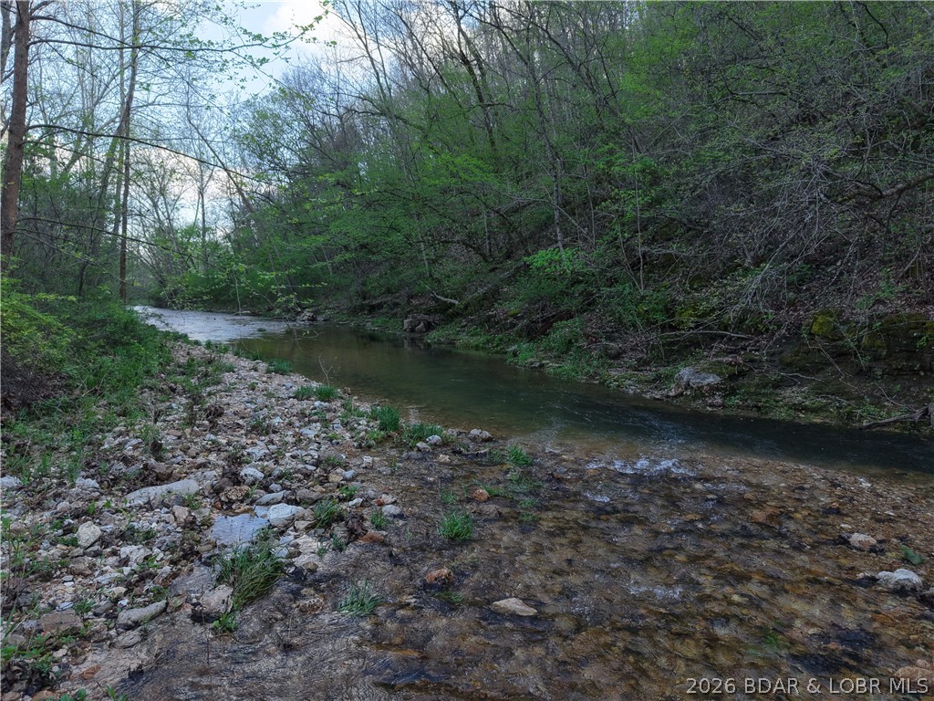 29740 Proctor Road Gravois Mills, MO 65037 - Photo 44 of 50