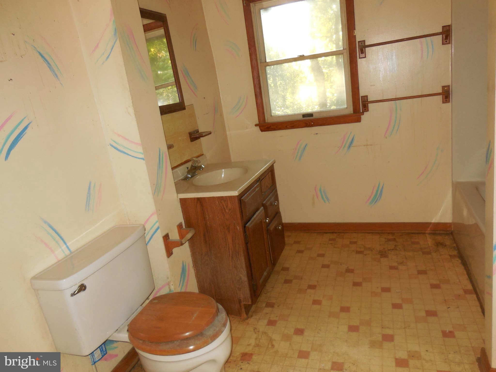 457 Pleasant Valley Road Westminster, MD 21158 - Photo 17 of 30 Extra Large Bath