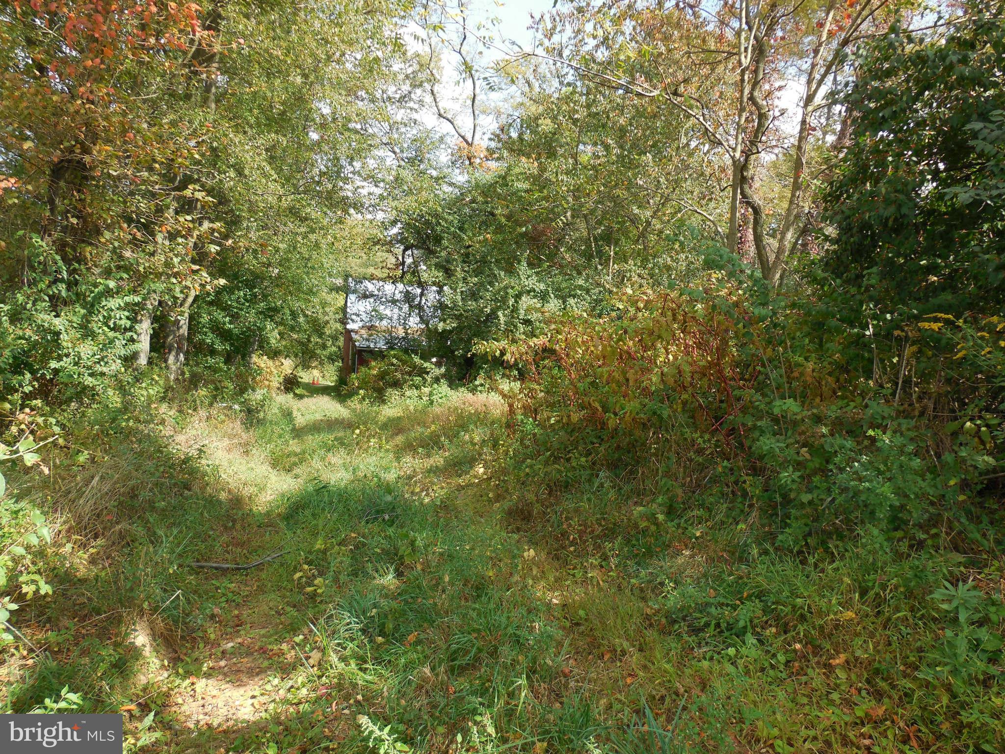 457 Pleasant Valley Road Westminster, MD 21158 - Photo 22 of 30 Path from Barn to home