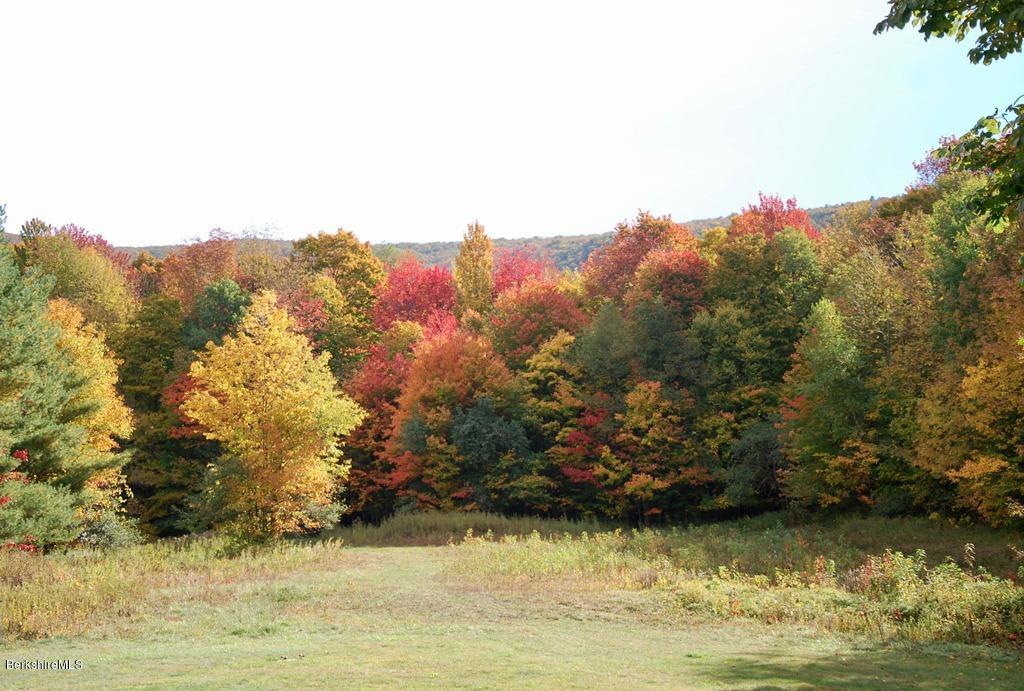 570 E Road Stamford, VT 05352 - Photo 26 of 40 Fall colors 2