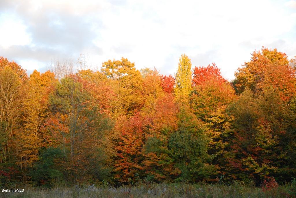 570 E Road Stamford, VT 05352 - Photo 27 of 40 Fall colors 3
