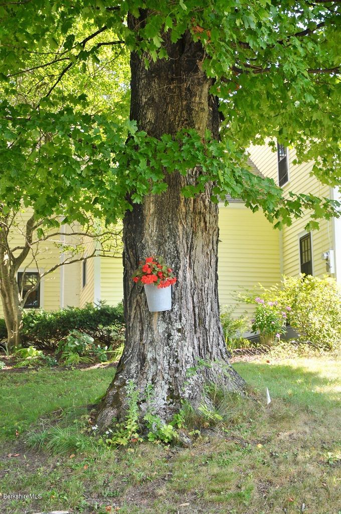 570 E Road Stamford, VT 05352 - Photo 37 of 40 Tree, flowers