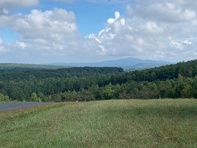 Gardner Farm Road, Unit 10 Appomattox, VA 24522 - Photo 5 of 8 Gallery Image 5