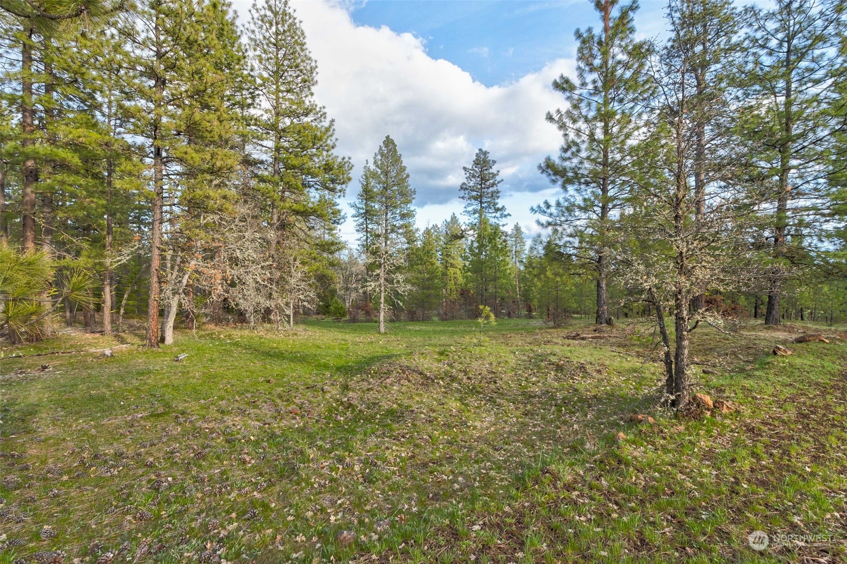14 Greyback Mt Road Goldendale, WA 98620 - Photo 2 of 25 Gallery Image 2
