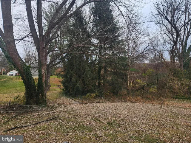 a view of a yard with trees