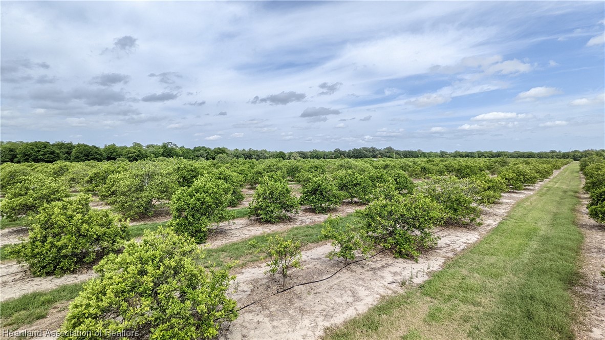 585 North Bailey Road Wauchula, FL 33873 - Photo 11 of 36 Gallery Image 11