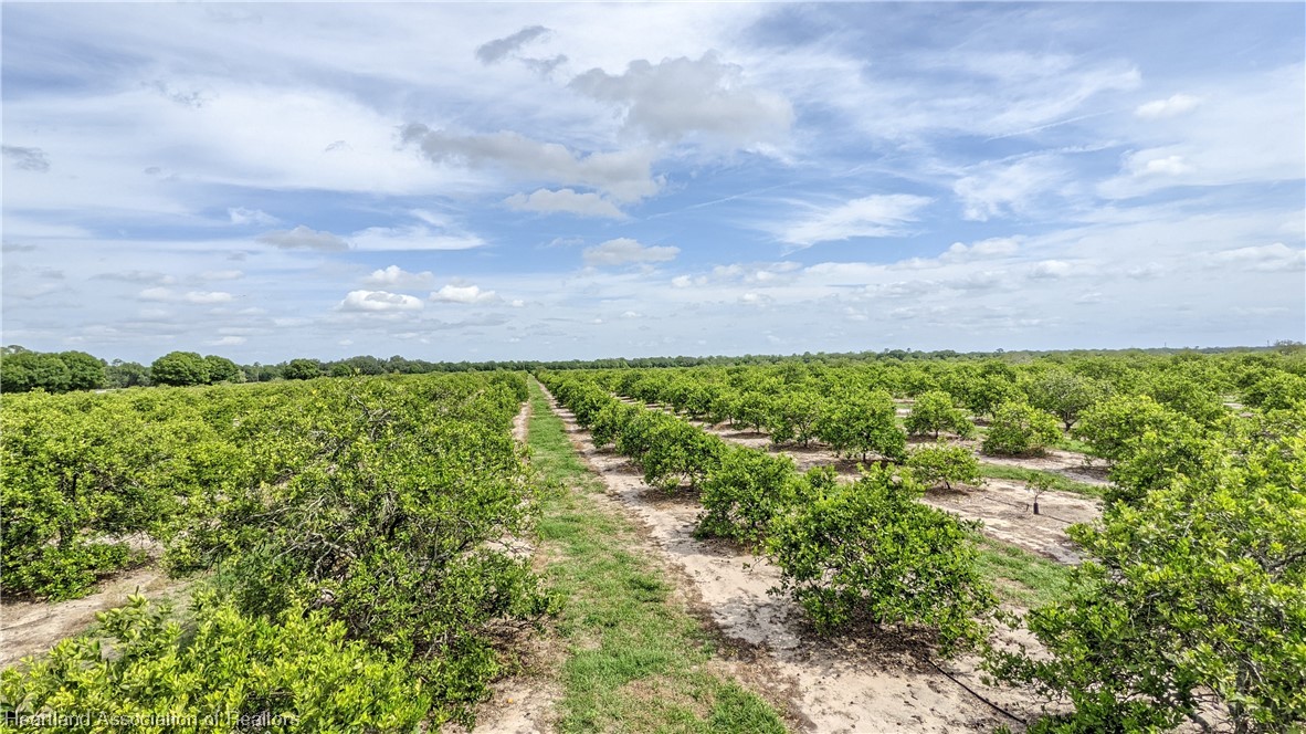 585 North Bailey Road Wauchula, FL 33873 - Photo 13 of 36 Gallery Image 13