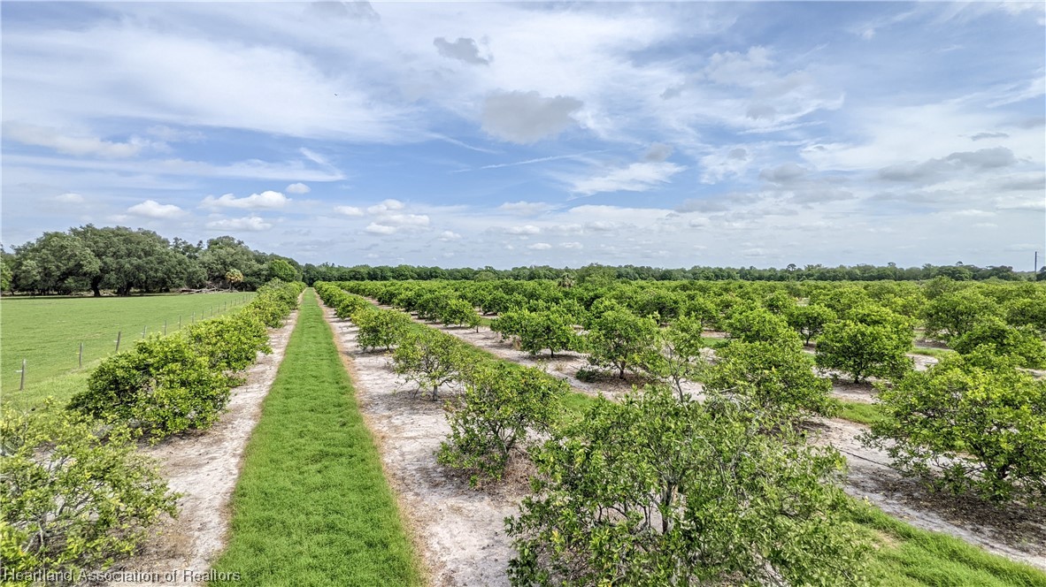 585 North Bailey Road Wauchula, FL 33873 - Photo 15 of 36 Gallery Image 15