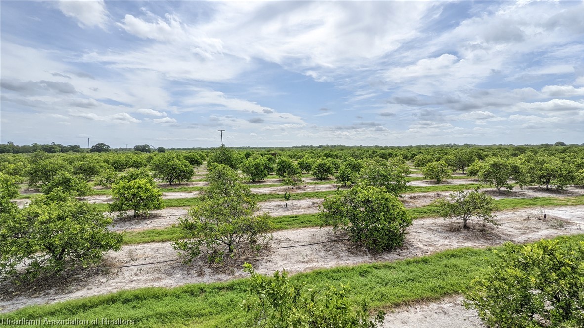 585 North Bailey Road Wauchula, FL 33873 - Photo 16 of 36 Gallery Image 16
