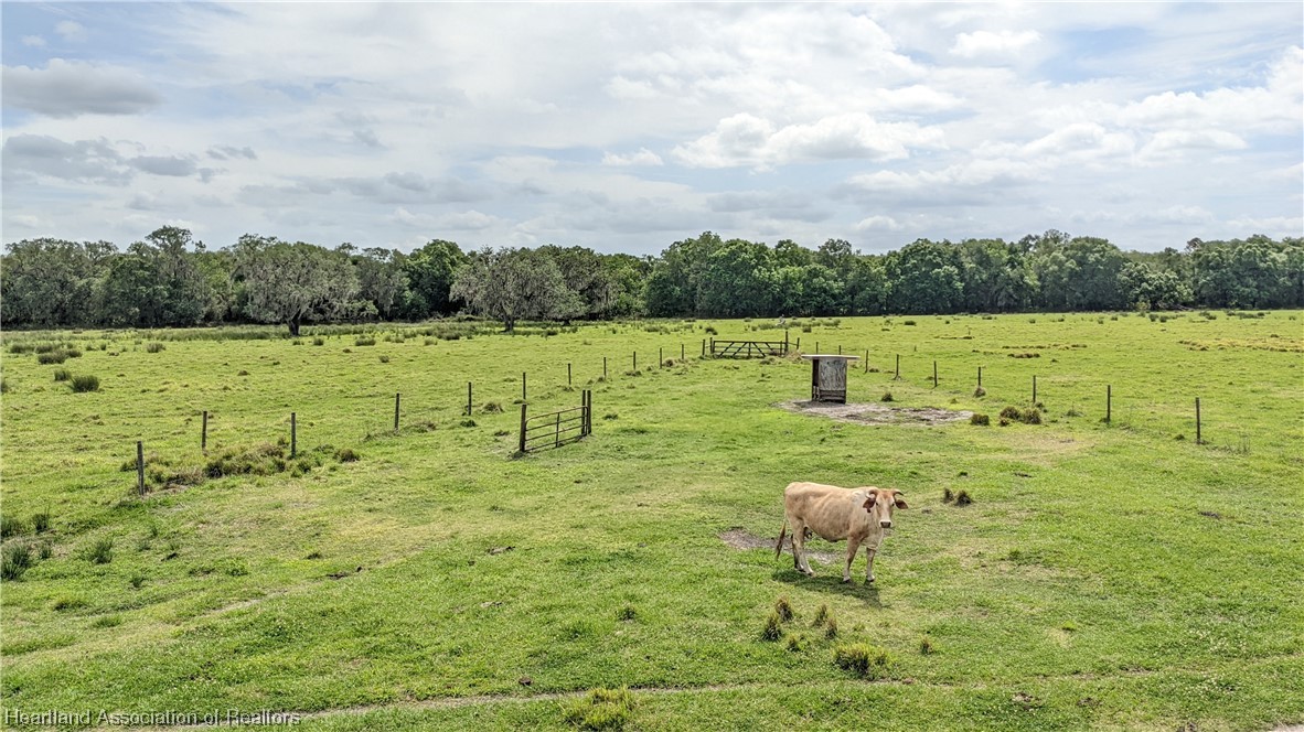 585 North Bailey Road Wauchula, FL 33873 - Photo 17 of 36 Gallery Image 17