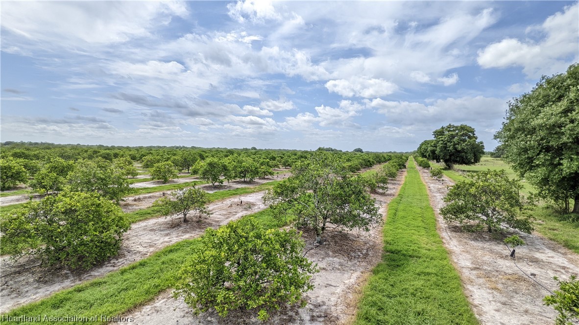 585 North Bailey Road Wauchula, FL 33873 - Photo 18 of 36 Gallery Image 18