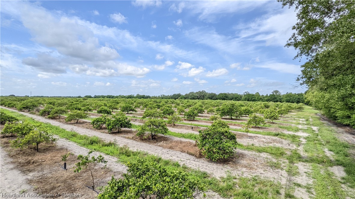 585 North Bailey Road Wauchula, FL 33873 - Photo 20 of 36 Gallery Image 20